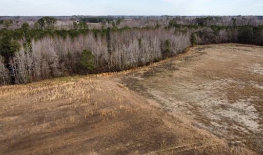 Photo #31 of Off Boggy Branch Rd, Nichols, SC 39.3 acres