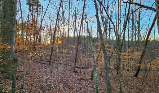Photo #2 of Off Martin Lane , Axton, VA 4.0 acres