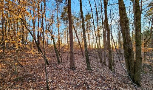 Photo #3 of Off Martin Lane , Axton, VA 4.0 acres