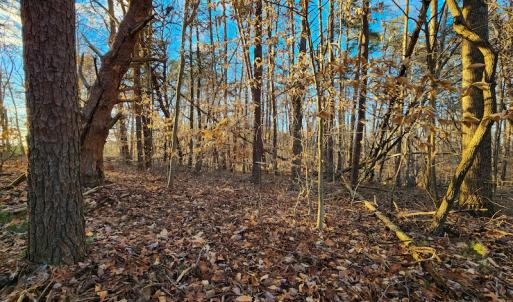 Photo #6 of Off Martin Lane , Axton, VA 4.0 acres