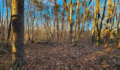 Photo #7 of Off Martin Lane , Axton, VA 4.0 acres