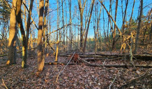 Photo #8 of Off Martin Lane , Axton, VA 4.0 acres