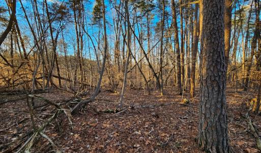 Photo #9 of Off Martin Lane , Axton, VA 4.0 acres