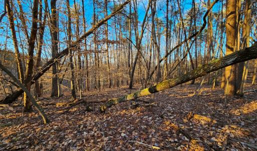 Photo #10 of Off Martin Lane , Axton, VA 4.0 acres