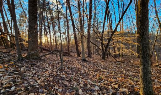 Photo #11 of Off Martin Lane , Axton, VA 4.0 acres