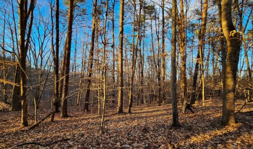 Photo #12 of Off Martin Lane , Axton, VA 4.0 acres