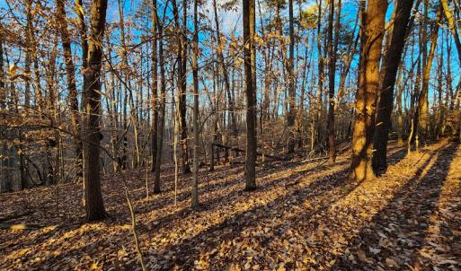 Photo #13 of Off Martin Lane , Axton, VA 4.0 acres