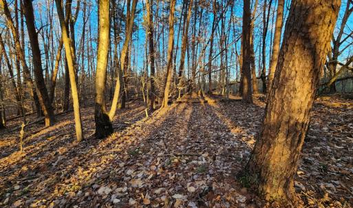 Photo #14 of Off Martin Lane , Axton, VA 4.0 acres