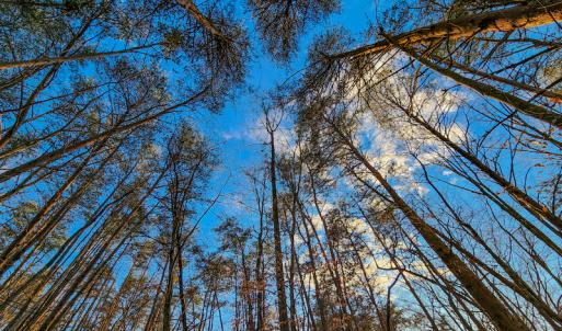 Photo #15 of Off Martin Lane , Axton, VA 4.0 acres