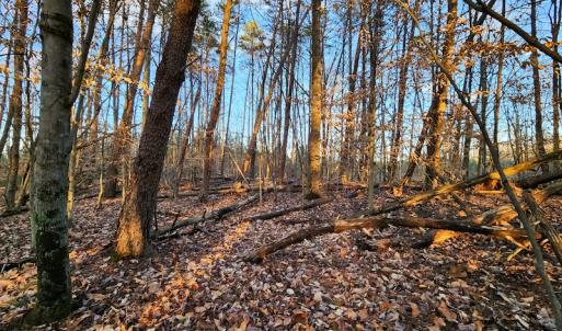 Photo #16 of Off Martin Lane , Axton, VA 4.0 acres