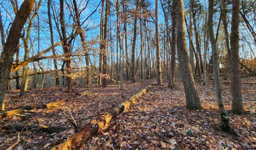 Photo #17 of Off Martin Lane , Axton, VA 4.0 acres