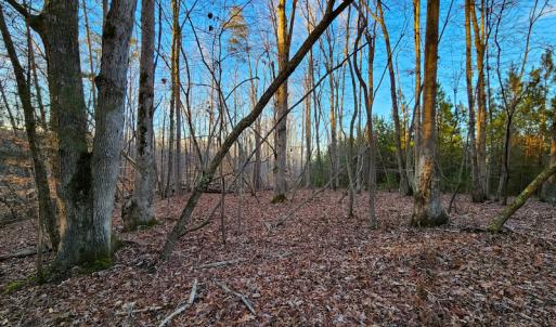 Photo #18 of Off Martin Lane , Axton, VA 4.0 acres