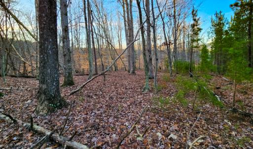 Photo #21 of Off Martin Lane , Axton, VA 4.0 acres