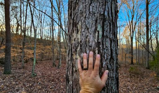 Photo #22 of Off Martin Lane , Axton, VA 4.0 acres