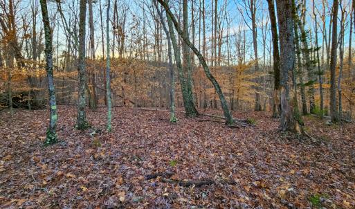 Photo #23 of Off Martin Lane , Axton, VA 4.0 acres