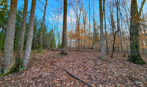 Photo #24 of Off Martin Lane , Axton, VA 4.0 acres