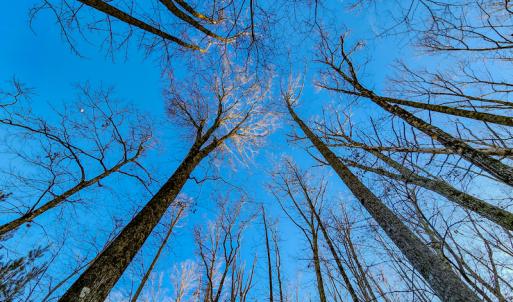 Photo #25 of Off Martin Lane , Axton, VA 4.0 acres