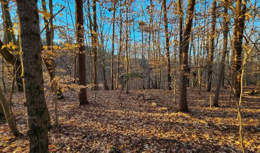 Photo #4 of Off Martin Lane , Axton, VA 4.0 acres