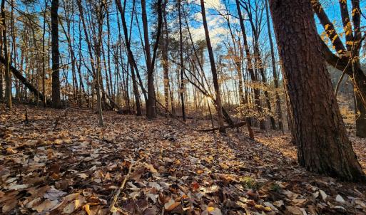 Photo #5 of Off Martin Lane , Axton, VA 4.0 acres