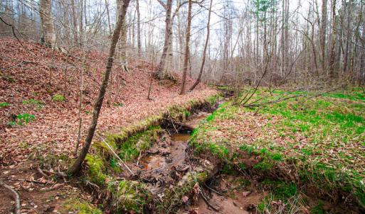 Photo #8 of SOLD property in Off Oak Tree Lane , Henderson, NC 2.7 acres