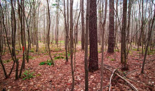 Photo #9 of SOLD property in Off Oak Tree Lane , Henderson, NC 2.7 acres
