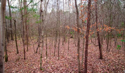 Photo #10 of SOLD property in Off Oak Tree Lane , Henderson, NC 2.7 acres