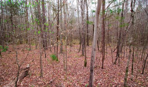Photo #11 of SOLD property in Off Oak Tree Lane , Henderson, NC 2.7 acres