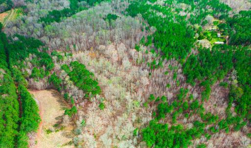 Photo #14 of SOLD property in Off Oak Tree Lane , Henderson, NC 2.7 acres