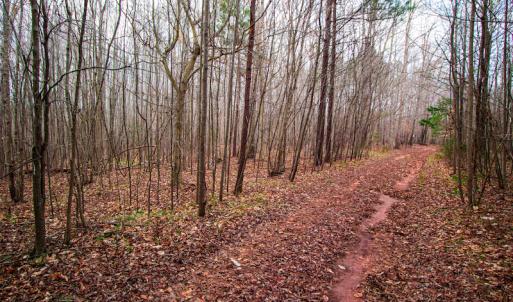 Photo #3 of SOLD property in Off Oak Tree Lane , Henderson, NC 2.7 acres