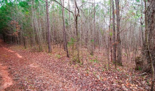 Photo #4 of SOLD property in Off Oak Tree Lane , Henderson, NC 2.7 acres