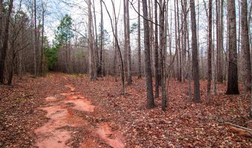 Photo #5 of SOLD property in Off Oak Tree Lane , Henderson, NC 2.7 acres