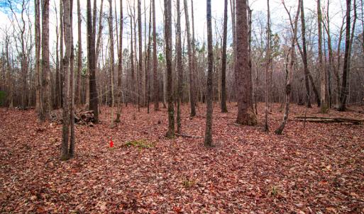 Photo #6 of SOLD property in Off Oak Tree Lane , Henderson, NC 2.7 acres