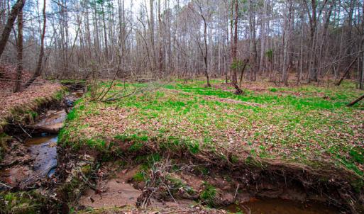 Photo #7 of SOLD property in Off Oak Tree Lane , Henderson, NC 2.7 acres