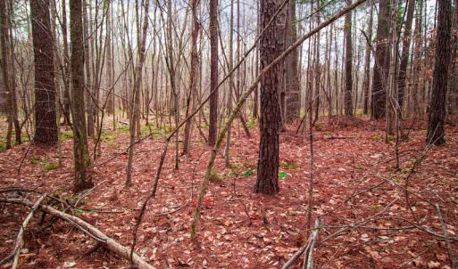 Photo #9 of SOLD property in Off Oak Tree Lane , Henderson, NC 2.7 acres