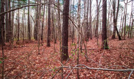Photo #10 of SOLD property in Off Oak Tree Lane , Henderson, NC 2.7 acres