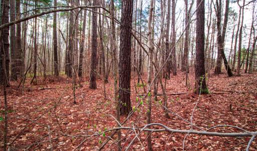 Photo #10 of SOLD property in Off Oak Tree Lane , Henderson, NC 2.7 acres