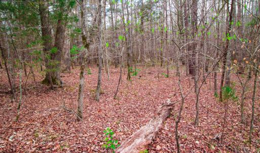 Photo #11 of SOLD property in Off Oak Tree Lane , Henderson, NC 2.7 acres