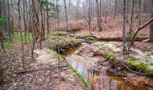 Photo #12 of SOLD property in Off Oak Tree Lane , Henderson, NC 2.7 acres