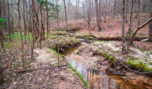 Photo #12 of SOLD property in Off Oak Tree Lane , Henderson, NC 2.7 acres