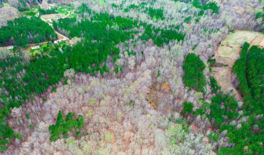 Photo #14 of SOLD property in Off Oak Tree Lane , Henderson, NC 2.7 acres