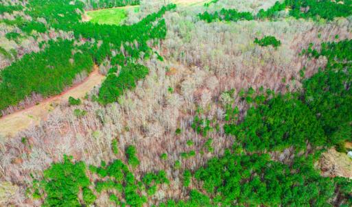 Photo #15 of SOLD property in Off Oak Tree Lane , Henderson, NC 2.7 acres