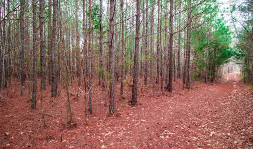 Photo #2 of SOLD property in Off Oak Tree Lane , Henderson, NC 2.7 acres