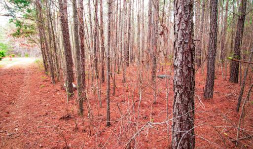Photo #3 of SOLD property in Off Oak Tree Lane , Henderson, NC 2.7 acres