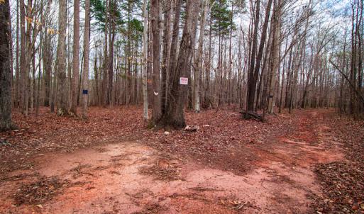 Photo #4 of SOLD property in Off Oak Tree Lane , Henderson, NC 2.7 acres