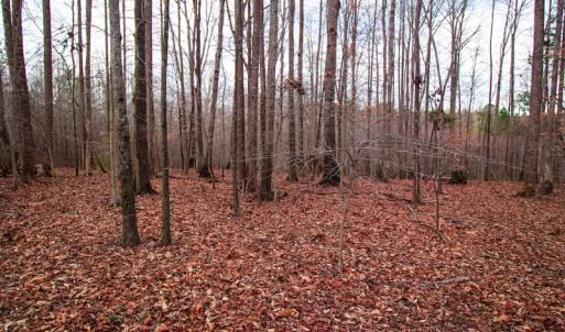 Photo #5 of SOLD property in Off Oak Tree Lane , Henderson, NC 2.7 acres
