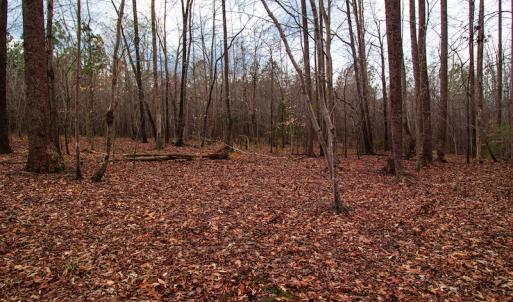Photo #6 of SOLD property in Off Oak Tree Lane , Henderson, NC 2.7 acres