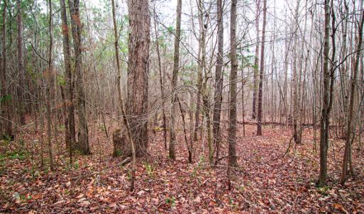 Photo #7 of SOLD property in Off Oak Tree Lane , Henderson, NC 2.7 acres