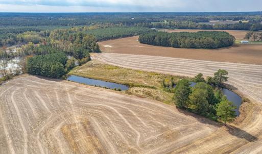 Photo #8 of SOLD property in Off Bailey Road , Fairmont, NC 29.0 acres