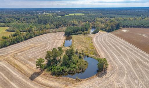 Photo #9 of Off Bailey Road , Fairmont, NC 29.0 acres