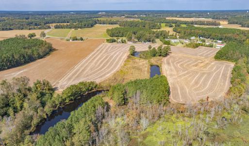Photo #13 of Off Bailey Road , Fairmont, NC 29.0 acres